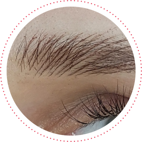 hairstrokes permanent brows hairstrokes permanent brows